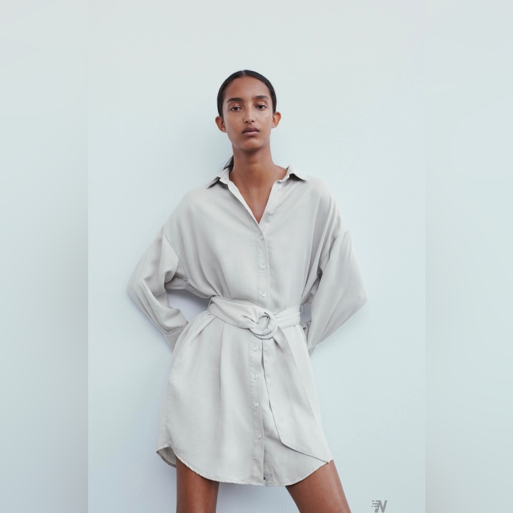 ZARA Belted Shirt Dress
